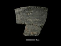 藏品(陶缽)的圖片